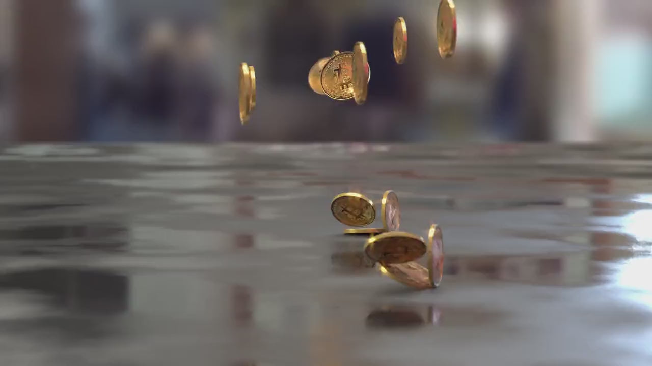 Video Templates of coins